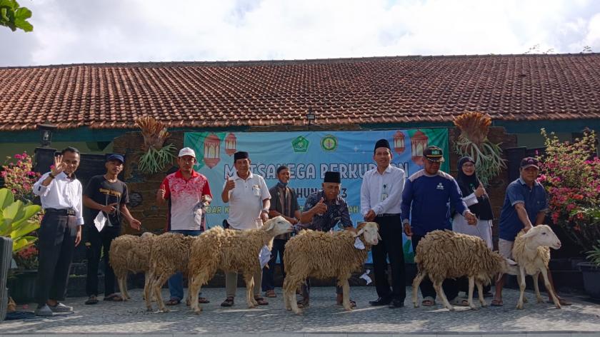 Siswa MTsN 3 Sleman Bagikan 7 Hewan Kurban