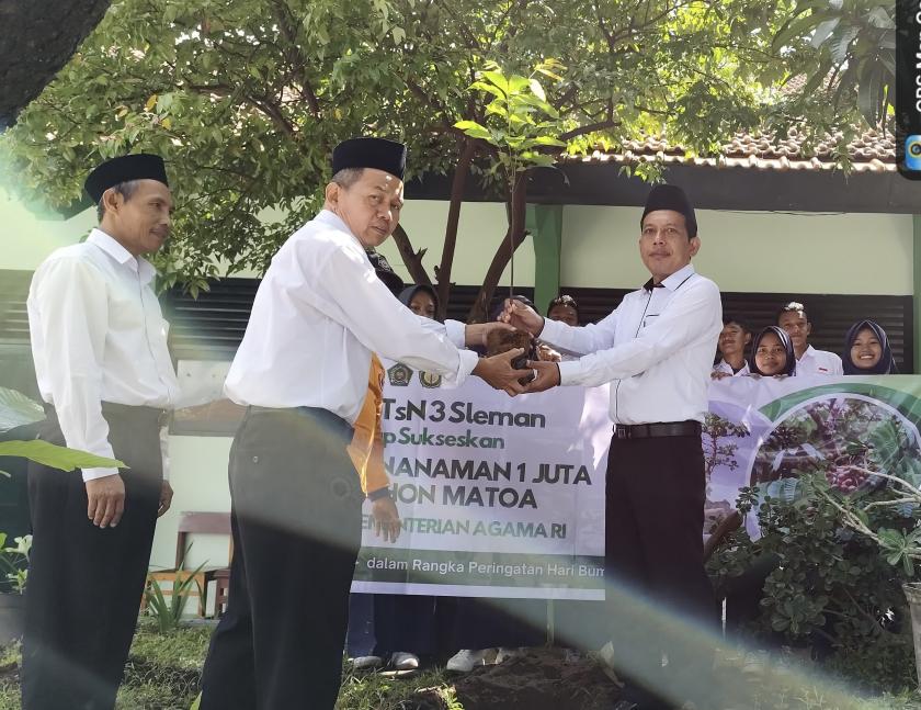 Siswa MTsN 3 Sleman Antusias Sukseskan Gerakan Tanam Sejuta Pohon Matoa